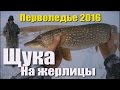 Видео - Зимняя рыбалка. Раздача щуки на жерлицы. 