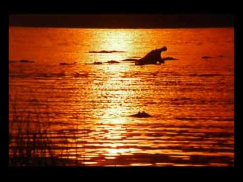 AFRICAINE - Cool, on se détend : une musique d'Afrique pour se déstresser, tranquille tout se passeras bien, des sons de musique Africaine pour se reposer, allez écoutez...