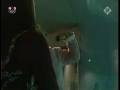 videos de bobo balo delfin