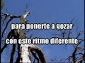 tic tic tac