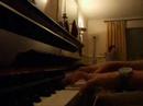 lady madonna cover beatles