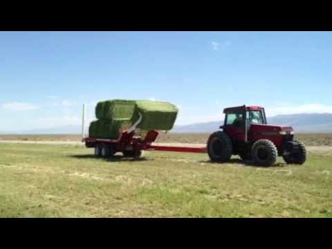 how to harvest alfalfa