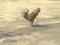 Ver Video