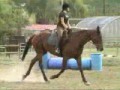 Storm Learning to Canter