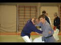 aikijujutsu pascal serei