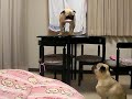 ???????