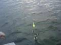 Pesca en la laguna de Lobos - www.pescabaires.com