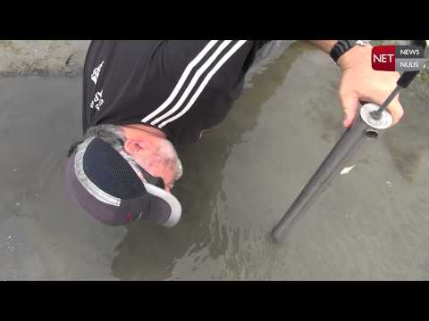 how to collect worms