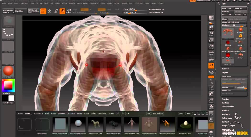 Zbrush Tutorial