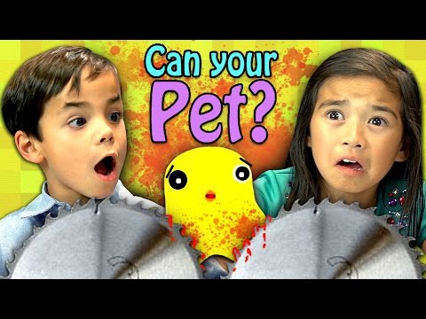 CAN YOUR PET? (Kids React: Gaming)