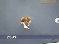 tricks-were-working-on-from-above.html