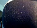 my first fart video my first fart video