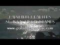 Palm Tree Charters takes The Smiths on a Sea Cruise