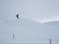 Jon going over a jump