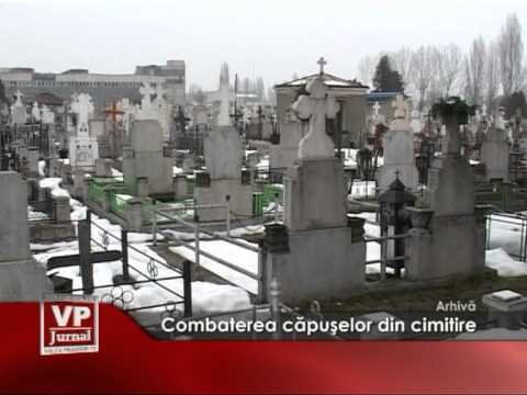 Combaterea capuselor din cimitire