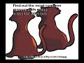 End Cat Aggression Problems Now!