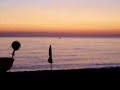 ALBA CARIATESE