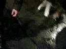 Detenci�n periodista Patricio Segura