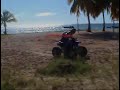 Clip 2pit Don blues