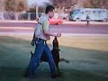 Dobermann Hock von enher en obediencia