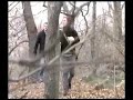 A Day in the Park 2