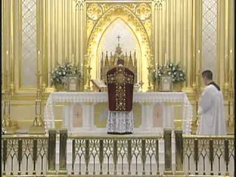 mass - Watch the entire DVD here: http://www.youtube.com/user/FSSPTraining Father Calvin Goodwin, Fraternity of Saint Peter (FSSP; http://www.fssp.org/ ), commentat...
