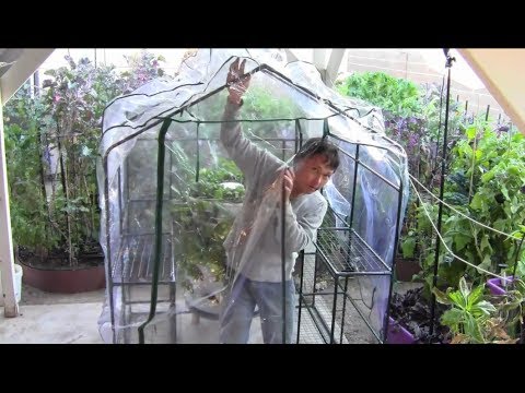 How to Build a $17.50 Greenhouse Without Any Tools