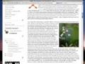 How to get the most out of my blog.