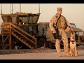 Military Working Dog & Fallen K9 Handler Tribute