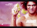 the movie of wrestling enterteinment the movie of wrestling enterteinment