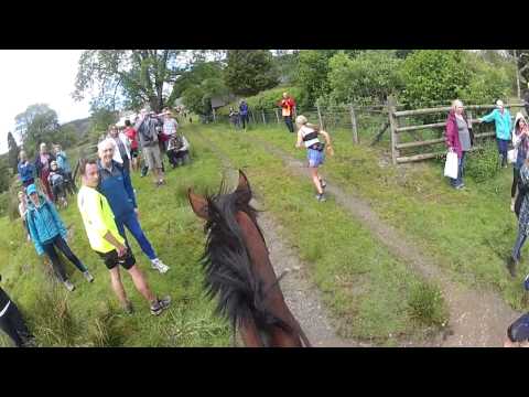 runners and riders runners and riders