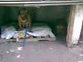 videos de DEDIS Y SOL PARTE 2