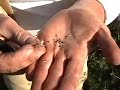 Off-Grid Farming