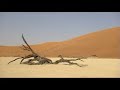 Namibia 2006 29 - Sossusvlei 3