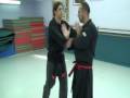 Short demonstrations from guidance disk -Master David Haliva