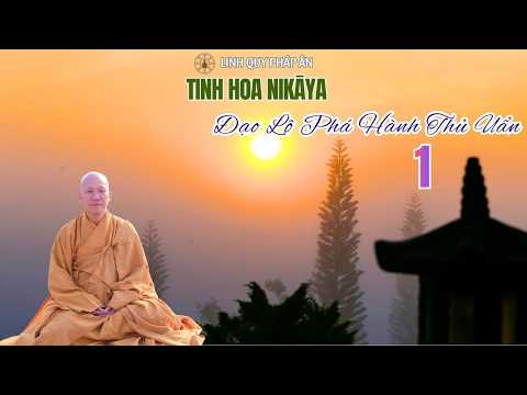 Tinh Hoa NIKAYA - Đạo Lộ Phá Hành Thủ Uẩn 1