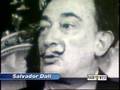 Salvador Dali expert speaks at Park West Gallery