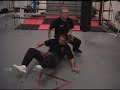 PENTJAK SILAT_CROW\