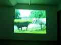 Roman Signer - Canoe vs.cows