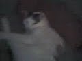 Frza  gina r sleep\