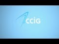 Web Design And Seo - Ccig.ch Website By Procab Studio Geneva Switzerland