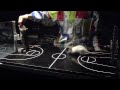 Rat Basketball in Heureka