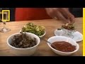 Eating Insects
