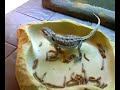 Baby bearded dragon