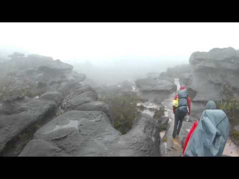 Topo inóspito do Monte Roraima