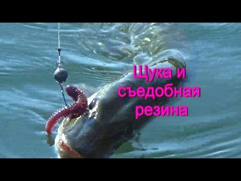 на что ловить щуку в карьере на что ловить щуку в карьере