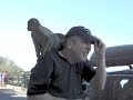 Barbary Apes of Gibraltar