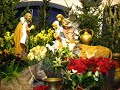 Passagem de ano em S�o Jorge - Madeira, Portugal.