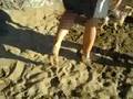 Westy Nora en la Playa