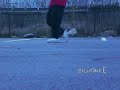 cwalk-happybirthday-alysha-bot-highonice.html